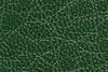 C8 Forest Green